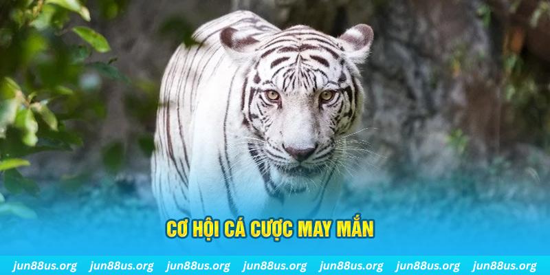 w88i casino tỷ lệ bóng đá