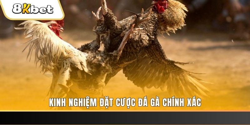 casio 880 casino link mới
