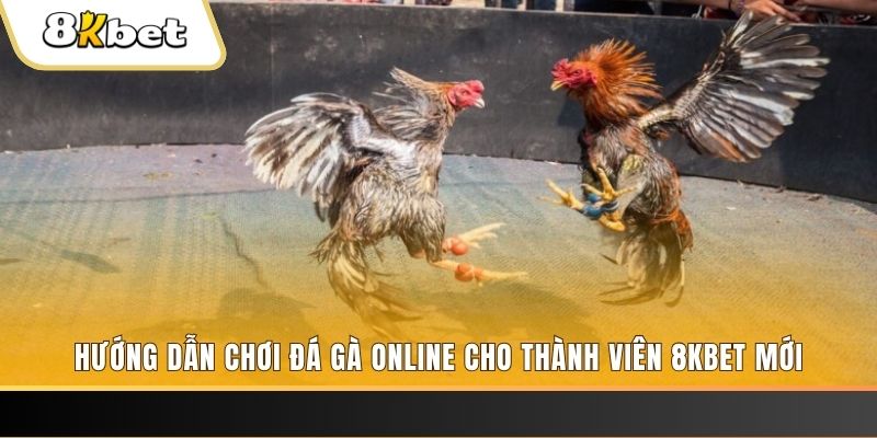 9vnd sòng bạc Đăng ký