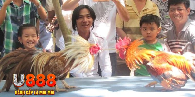 ku19 bet casino Sòng bạc