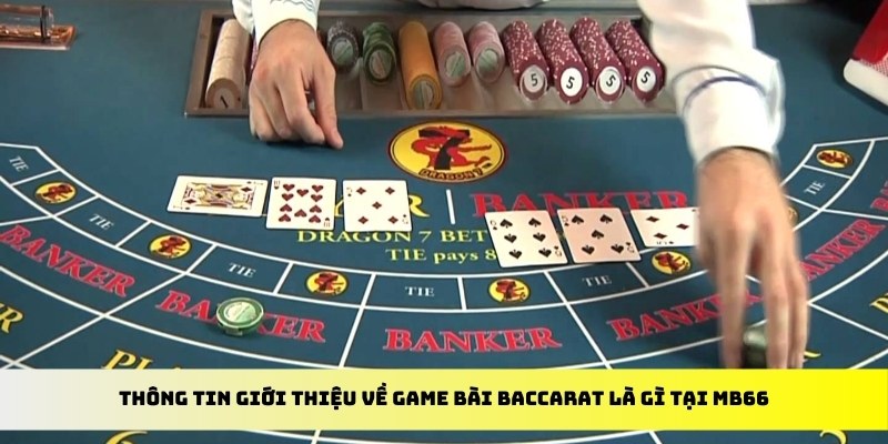 bong 88 casino ĐĂNG KÝ