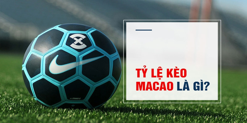 1888bet sòng bạc Trực tuyến