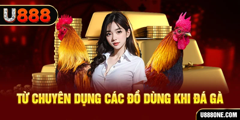 xoilqc sòng bạc ĐĂNG NHẬP