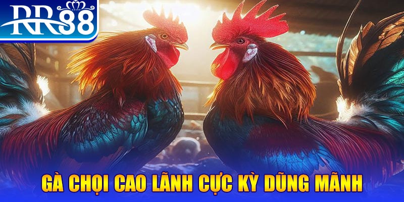 vin77 sòng bạc Sòng bạc